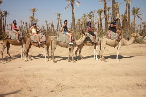 Passeio de camelo em Marrakech