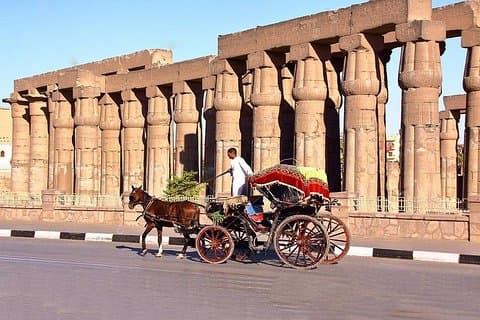 Luxor: Hestetrekket tur fra Vestbredden