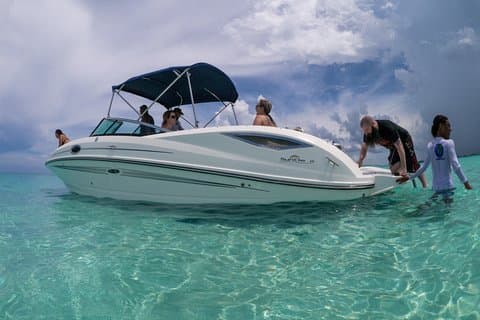 Small Group VIP Stingray City & Snorkel Encounter with Snacks
