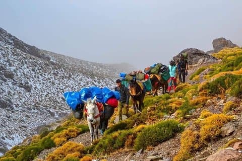 Trekking i Atlasbjergene 4 dage