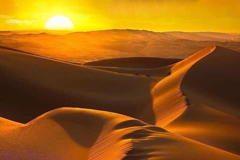 Private Romantic Dinner in Desert Abu Dhabi with Hot BBQ Dinner