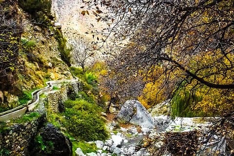 Valley & Garden