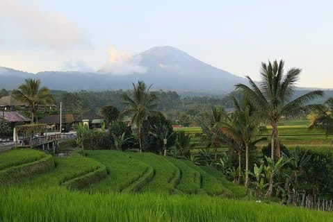 Tour condiviso: terrazze di riso Jatiluwih - Tempio di Ulun Danu - Cascate di Banyumala