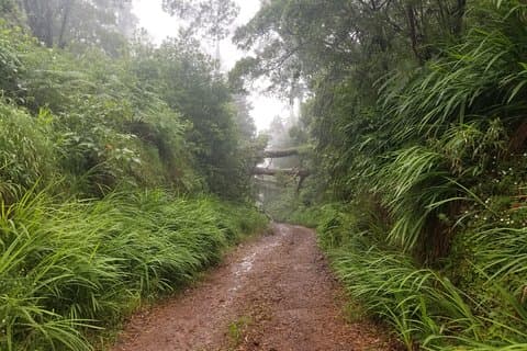Excursiones fuera de la carretera de Madeira