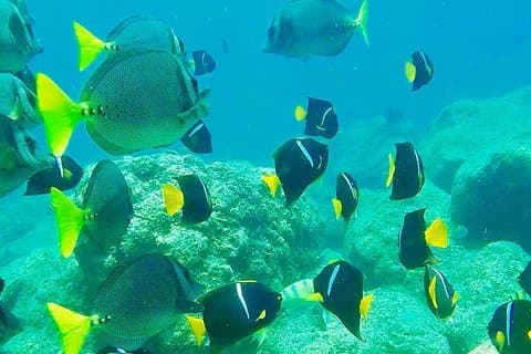 Visit paradisiac Islands in La Paz