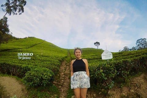 Alleinreisender mit Holiday Walkers Sri Lanka (Rundreise)