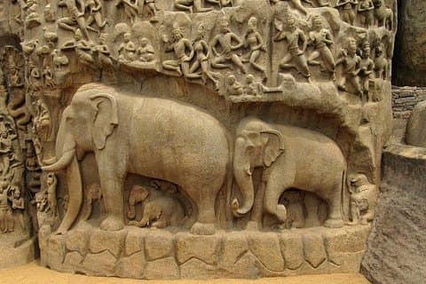 Kun ekspertkurering Mahabalipuram Trip