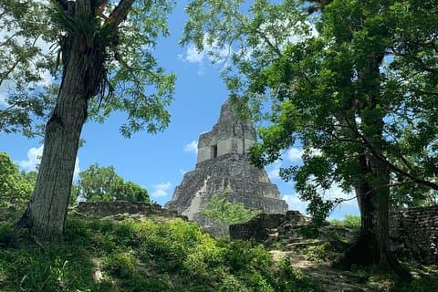 Expérience partagée à Tikal : vol + excursion d'une journée au départ d'Antigua