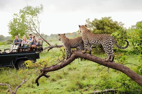 Wild Wonders Of Sri Lanka | 7 Days