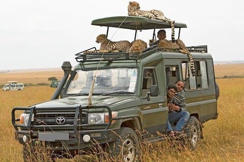 Safari privé de 13 jours à la découverte de la faune du Kenya et vacances à Diani Beach
