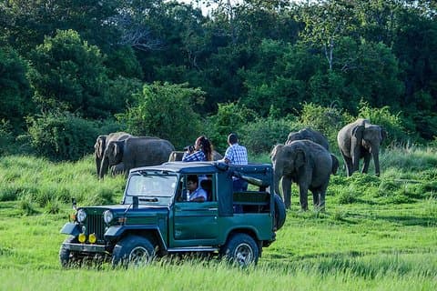 Udawalawe Private Safari frm Hambantota Port by BTM-All Inclusive