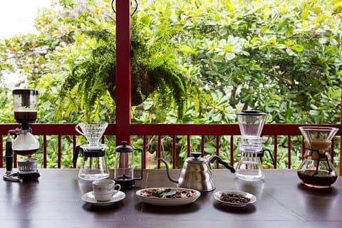 Coffee tour in the heart of the coffee region