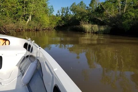 Excursion en bateau privé à Tigre Delta
