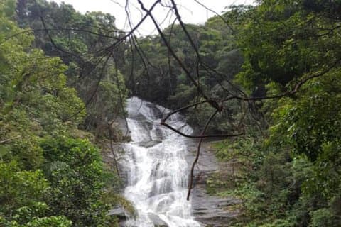 Bäst Tijuca Forest privat rundtur med botanisk trädgård