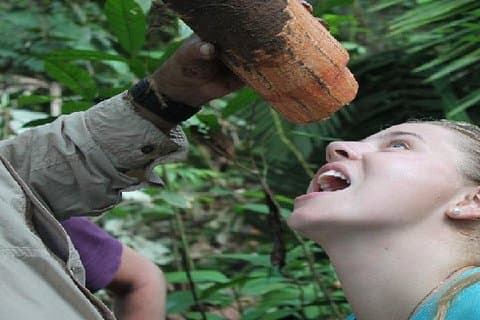 Amazon River Expeditions with Guide for 5 Days 4 Night Ecolodge