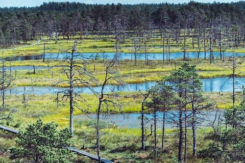 Selv guidet vandring i Baltikum på 14 dager