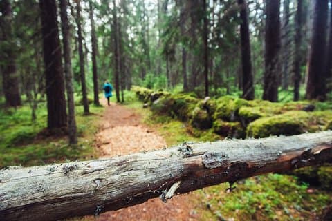 Caminhada guiada nos Estados Bálticos em 14 dias