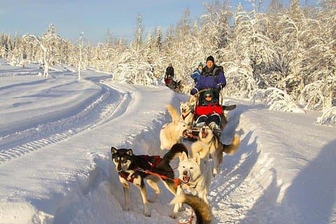 Tour privado de Husky Ride desde Cracovia