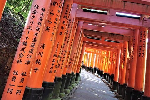 Spätaufsteher-Rundgang durch Kyoto