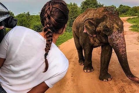 Best Of Sri Lanka Tour (06 Tage 05 Nächte) - Kandy- N.Eliya -Bentota-Colombo