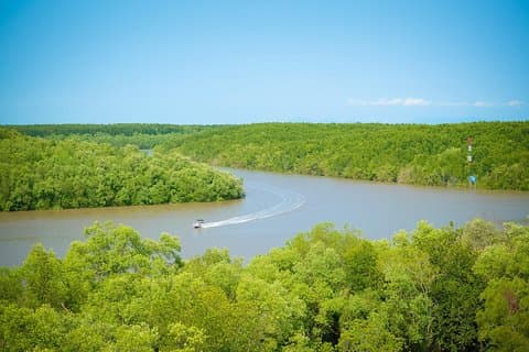 Wild Adventure : Private Can Gio Eco-Tour & Wildlife