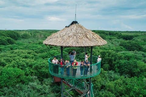 Hoteller i nærheden af Private Can Gio Eco-Tour & Wildlife
