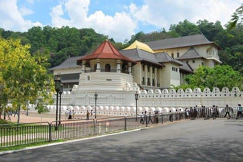 Kandy Private Tagestour Ahungalla/Kosgoda/Bentota/Beruwala/Kaluthara