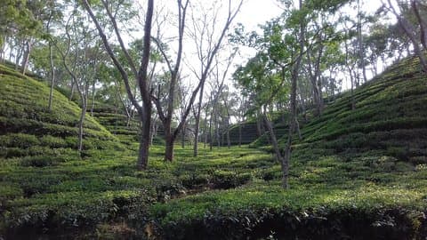 4 days Dhaka to Sylhet & Srimangal