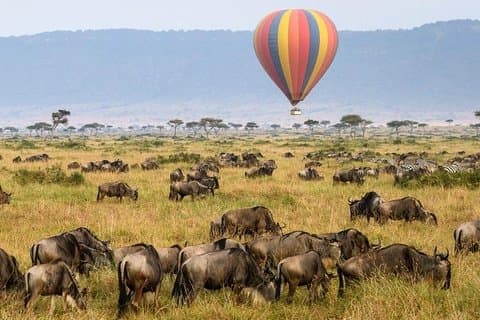 13 giorni Kenya Tanzania Wildlife Safari
