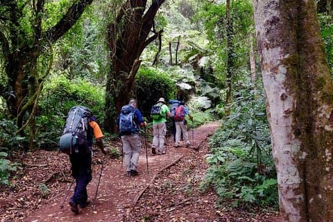 7 Tage Kilimandscharo-Wanderung - Marangu-Route
