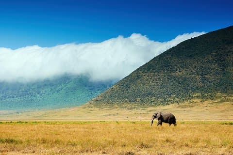 3-daagse Amazing Tanzania Safari