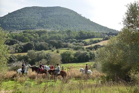 Horseback Riding in Randa Valleys, Mallorca, Spain