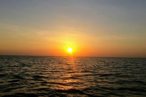 [Water Bus] 4 Islands: May Rut - Mong Tay - Gam Ghi - Pineapple