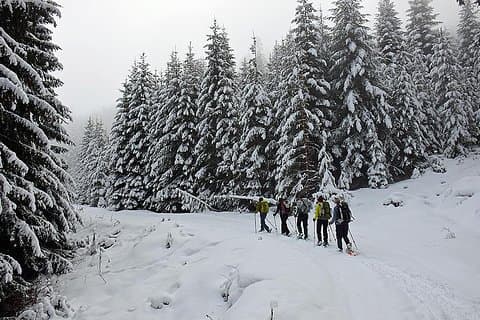 Excursão de dia inteiro com raquetes de neve na montanha Vitosha saindo de Sofia