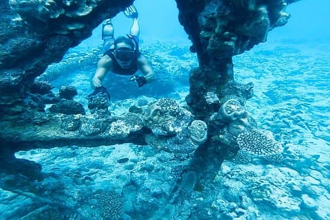 Ariki Adventures: Premium Sea Scooter Shipwreck Adventure