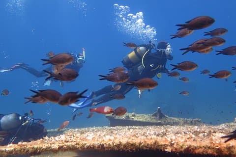 Try Scuba Diving in Amorgos