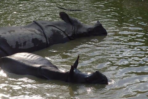 チトワン国立公園2泊3日
