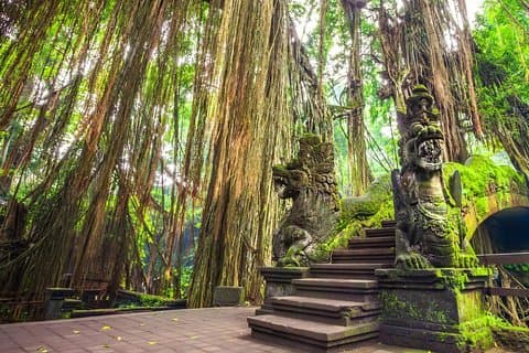 Templo de Ubud Holy Spring Limpieza maravillosa