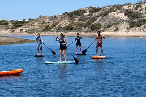 Coast to Vines: E-Bike*, Paddle Board und Weintour (2 Optionen)