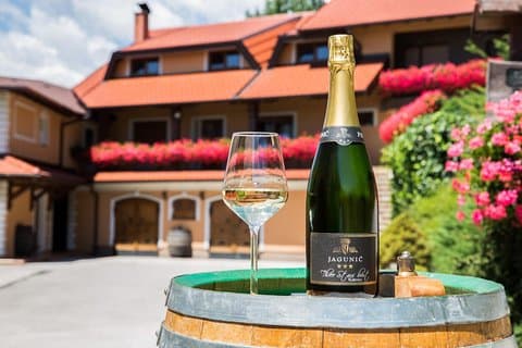 Plesivica Region Wine Tasting Half-day Tour