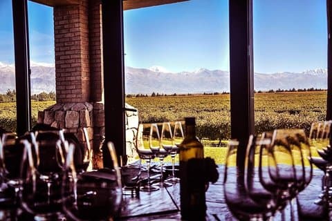 Small Group tour 3 wineries in Luján de Cuyo or Maipú with lunch
