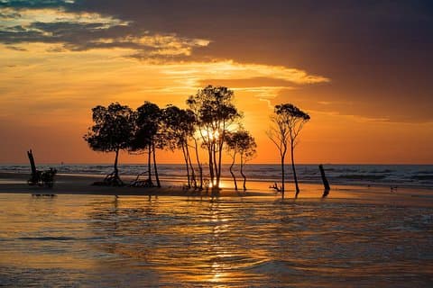 Explore el encantador Darwin: recorrido de audio autoguiado