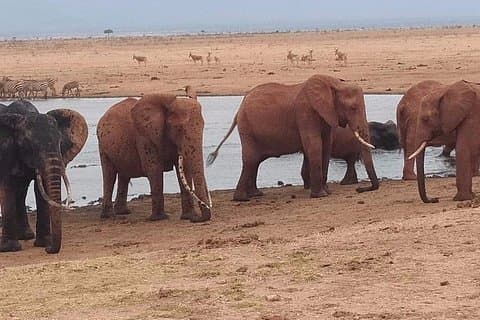 3日間のサファリツァボ東と西