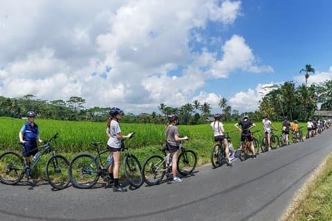 Manhã Melhor Excursão Kintamani de Ciclismo em Bali