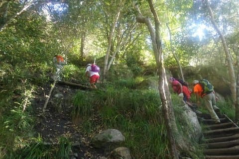 Nursery Ravine - Table Mountain