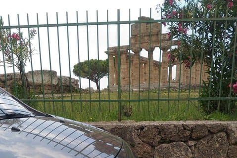 Von den Tempeln von Positano und Paestum: Mozzarella-Farm, Mittagessen mit Weinprobe
