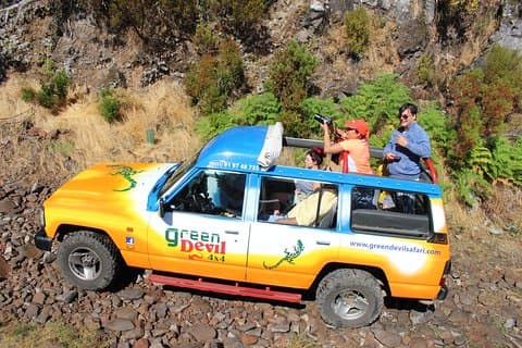 Los picos de Madeira: excursión de día completo 4x4 abierto