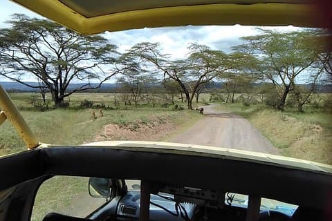 Private Day tour Nakuru National Park & Boat Ride