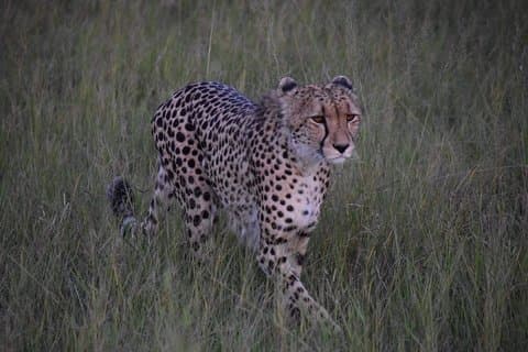 ワンゲ日帰り旅行