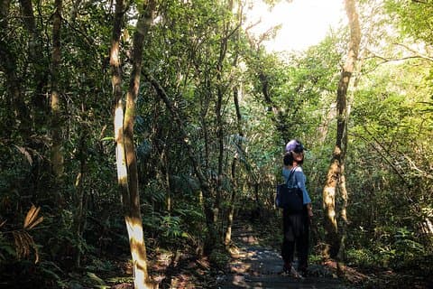 Magical Forest Trail(Departure with 4 ppl.)